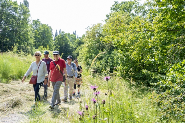 Entdecken-Bewegen-Begegnen