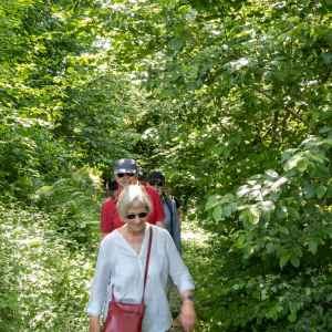 Spaziergänge (13 von 20).jpg