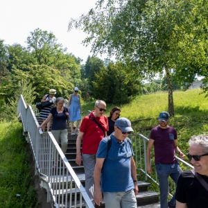 Spaziergänge (6 von 20).jpg